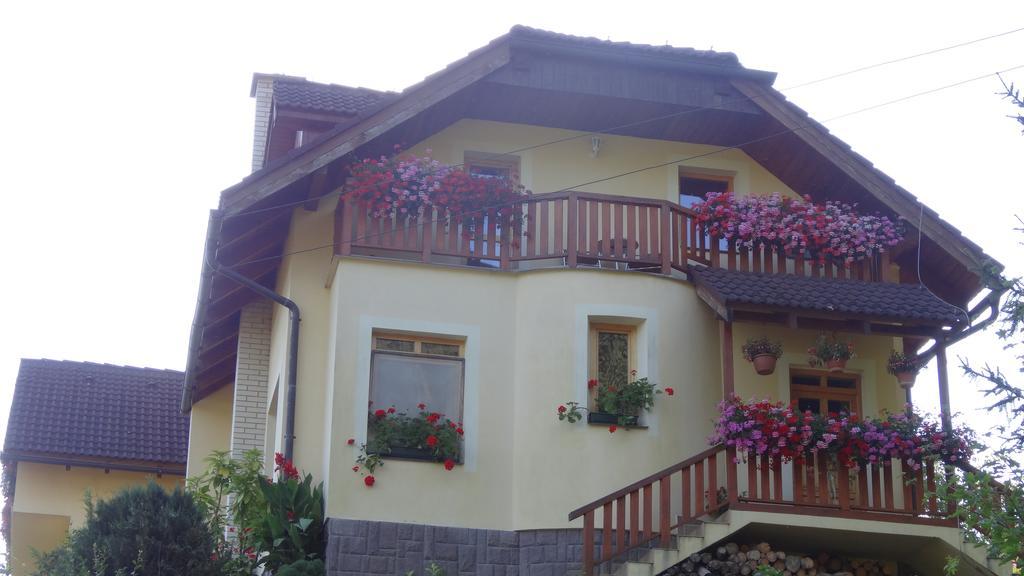 Apartman U Sarky Valaska Экстерьер фото